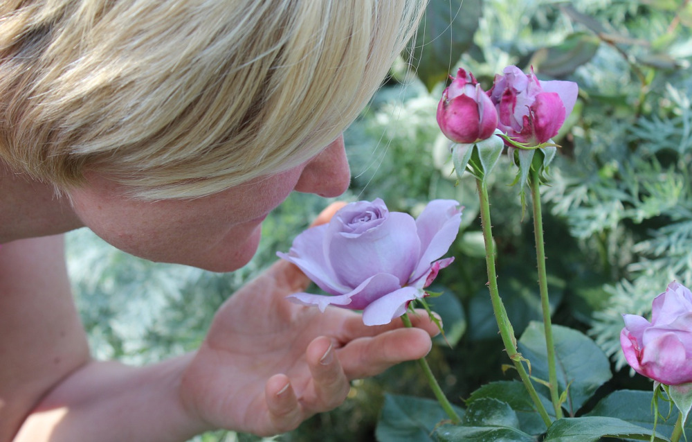 woman smelling flowers